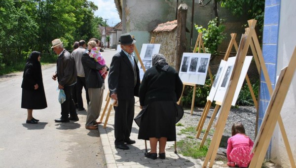 481450_445947642163153_575648491_n