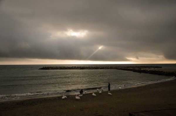 1465820_290672224391232_338567345_o