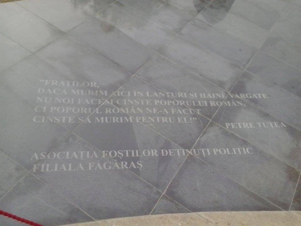 10636307_10204145896343164_2852765717820777775_n