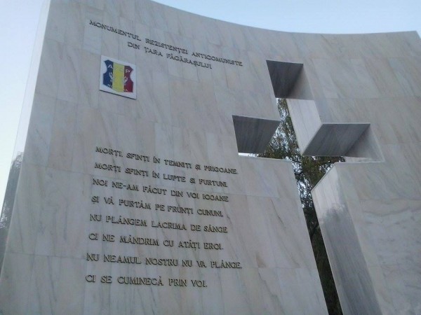 1394429_10204145896063157_6181693762268382198_n