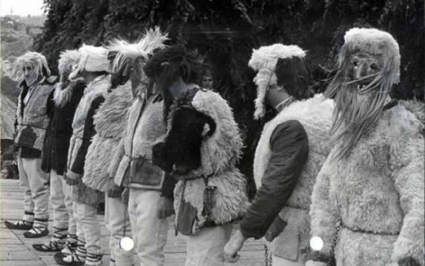 11377305_1452723855026689_762126696489920330_n