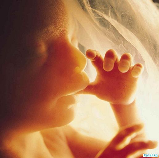 1257273895_1241444102_babysmoker