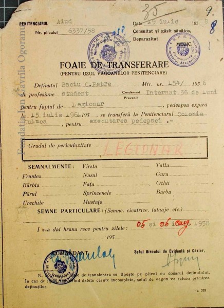 P 14372_Page_24 - Copy