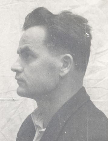 ioan-negrutiu-in-arest-profil