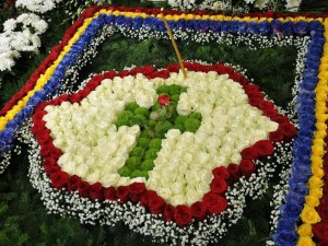 pomenire_pr._iustin_parvu_8