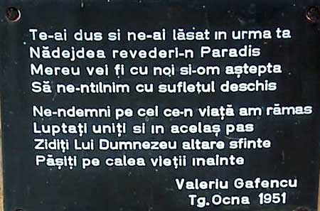 targu-ocna-martiri-(3)