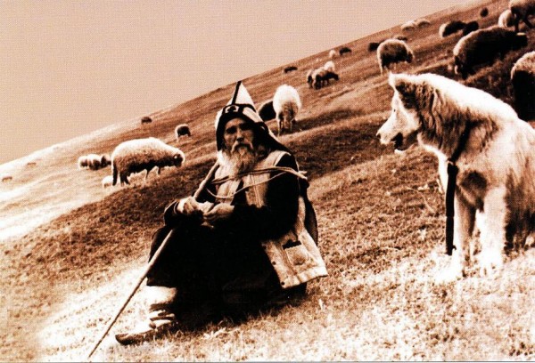 ilie-cleopa-cu-oile-schitul-cozancea