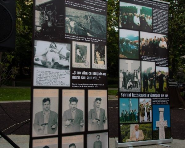 1 (62 of 269) - Copy