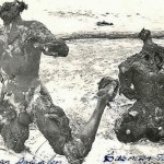 1/2 februarie 1958. CUMPLITA MOARTE A FRAŢILOR ŞUŞMAN. Au ars, dar nu s-au predat…