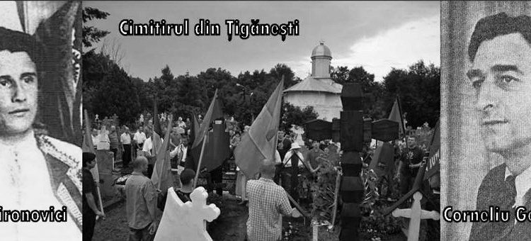 10441252_791699450854517_5787491560466990901_n