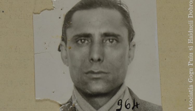 ciolacu – Copy (2)