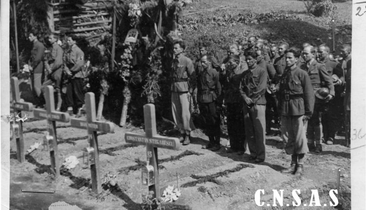 IMG-20230512-WA0053(1)